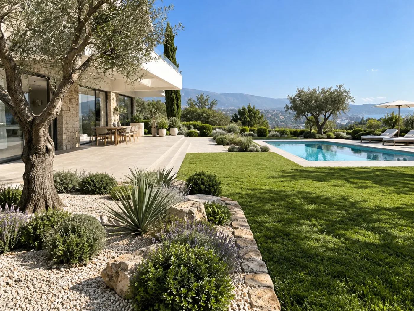 Jardin contemporain avec oliviers, massifs, pelouse, terrasse et piscine